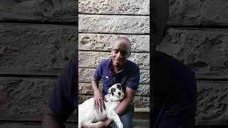 Dogs are very loving ❤️ and faithful let's take care of them #dog 