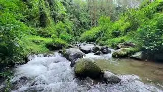 Soft river sound near peaceful tree-lined river guiding deeper deep sleep in silent calm breathing