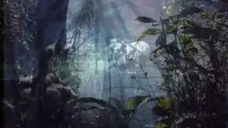 Andreas Vollenweider - Quiet Observer  jungle &zeta;&omicron;&upsilon;&gamma;&kappa;&lambda;&alpha;  HORRIFYING