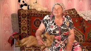 Рубрика 