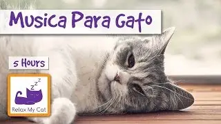 Музыка для кошек - Кошки расслабить музыку