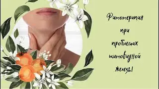 Фитотерапия при патологии щитовидной железы