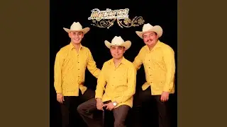 Armando Morales