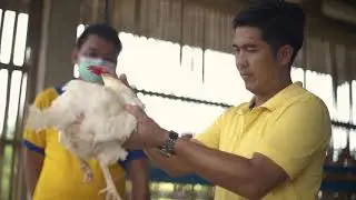 A SariPreneur from Isabela Shares Good Management Practices for Layer Farming