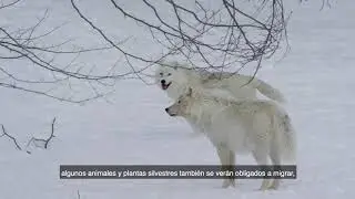 Climate Change Documentary