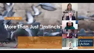 Webinar &ndash; The Instinctual Biases by Awareness to Action are more than just &ldquo;instincts&rdquo;