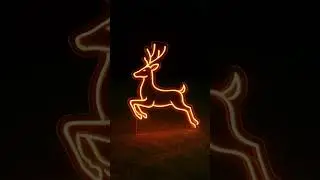 Jumping Deer Neon Sign #customizableledsign #lednamelight #neonsignforbedroom #customizedledlights