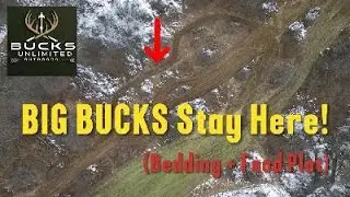 Holding More Bucks: Food Plot Expansion & Bedding Area Setup!