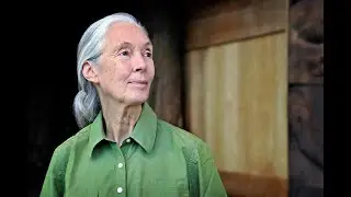 My tribute to Jane Goodall