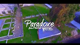 John Fischer - Paradoxe