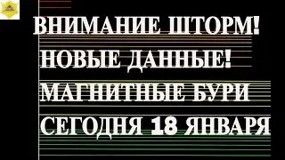 ВНИМАНИЕ ШТОРМ! НОВЫЕ ДАННЫЕ! МАГНИТНЫЕ БУРИ  СЕГОДНЯ 18 ЯНВАРЯ 2026