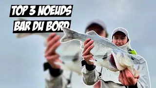 LES 3 MEILLEURS NOEUDS POUR LA PÊCHE DU BAR 🐟
