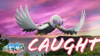 Caught the NEW HISUI Braviary in Pok&eacute;mon GO!