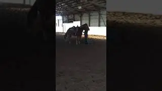 Dusty Arena Riding