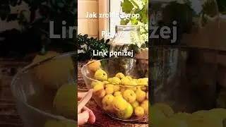 Jak zrobić syrop z pigwy? #pigwa #zioła #ziołalecznicze #syrop