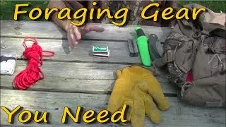 Gear You Need While Foraging Wild Edibles