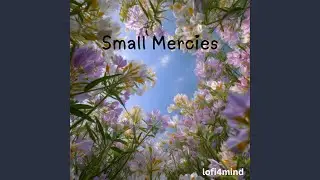 Small Mercies