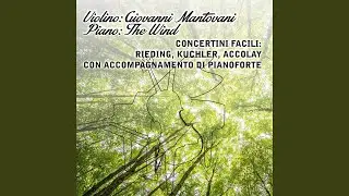 Violin concert, Op. 24: II. movimento