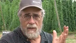 Crop protection and Phosphate uptake with ZumSil