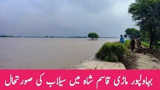 Flood situation Bahawalpur | Satluj river today news | Flood in Punjab | Flood in Pakistan | Sutlej