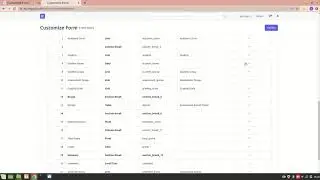 Custom Field - ERPNext