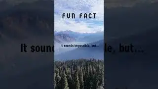 It sounds impossible, but... #funfacts #brainfuel #didyouknow #facttok