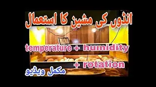 How to use eggs incubator!!incubator use full info #temperature #humidity||by mr australorp farming