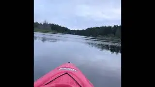 Quennell Lake #Nanaimo #vancouver Islands just good times
