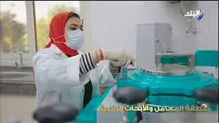 السحر والتاريخ.. حديقة أنطونيادس مقصد أهالي الإسكندرية بعد تطويرها