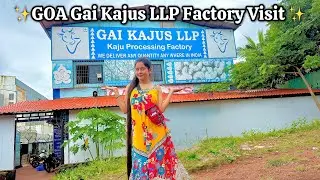 GOA Cashew Factory Tour 🍂 | देखिए कैसे बनता है असली गोअन काजू | Indian Glamour Vlogs