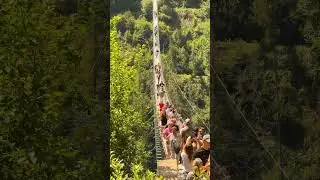 Geierlay Suspension Bridge &ndash; Germany&rsquo;s Skywalk Adventure 🌉🇩🇪