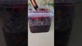 как замачивать фрукты для ромового торта /черного торта/рождественского торта #шорты