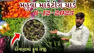 આજના સબજી ના ભાવ બોવ ઉચા 😱મહુવા માર્કેટીંગ યાર્ડ બકાલા ના ભાવ ફુલ તેજી જોવા મળી 🥬🍅
