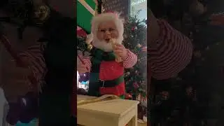 It is still Christmas, right?! moving #toys #elves on #christmastree #happy #joyful #colorful