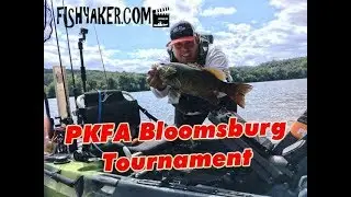 Kayak Fishing the Susquehanna River: PKFA Bloomsburg Camping Weekend Tournament 2019