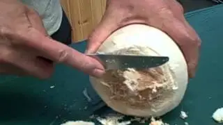 How to Open a Young Thai Coconut with a Butter Knife