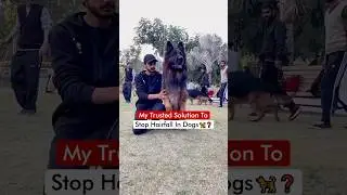 My Trusted Solution To Stop Hairfall In Dogs 🦮❓