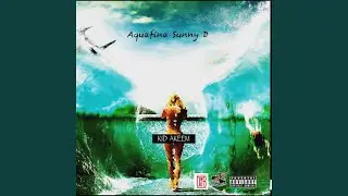 Aquafina Sunny D (Radio Edit)