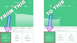 FitTrack Dara Scale and FitTrack Pro Review - How I use it to stay in shape