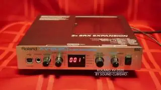 Synth Module (3) - Roland XV-2020 'Acoustic & Electric' Piano