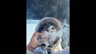 [FREE] Derek x Tchelo x IAN 