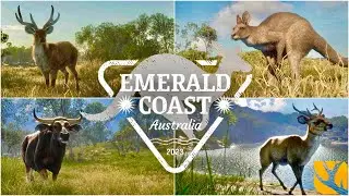 NEW MAP REVEAL! EMERALD COAST- AUSTRALIA COMING TO THE HUNTER CALL OF THE WILD, AND MORE!
