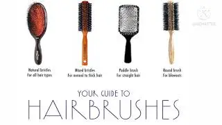 Hairbrush Types & How to use them|Based On Hair Type|Hair Brush Guide|Fashion Vocabulary by Trendbes