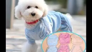 large breed dog clothes