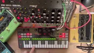Part2 Moog Subharmonicon + DFAM and Uno Synth Pro Desktop Jam by Saya 'zonbi' Nishida