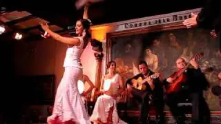 Flamenco show - Corral de la Moreria