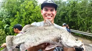 Island Near Singapore Barramundi / Ryan Ngler / Kelvin Chan
