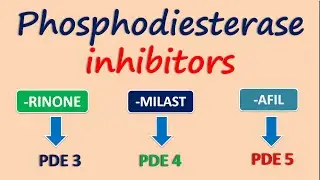 Phosphodiesterase inhibitors