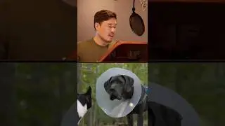 Behind the Voice: HUNTER (Randall Park) #shorts #cartoon #actor