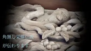 角無し栄螺伝説が伝わります 25050